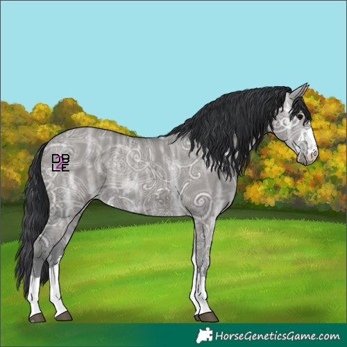 Horse Color:Grullo Ice Rabicano 