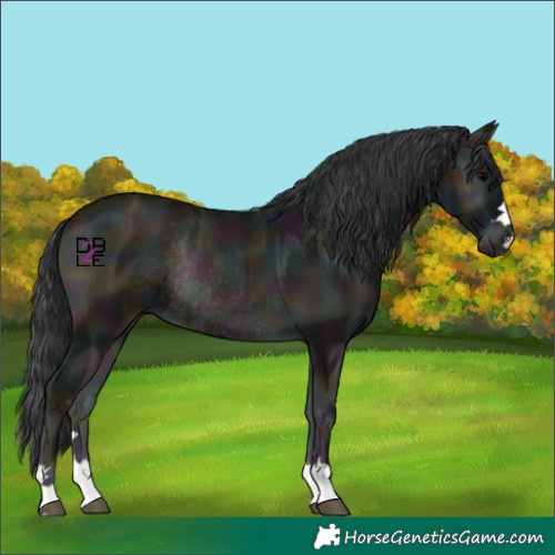 Horse Color:Midnight Blue Onyx Ice Rabicano