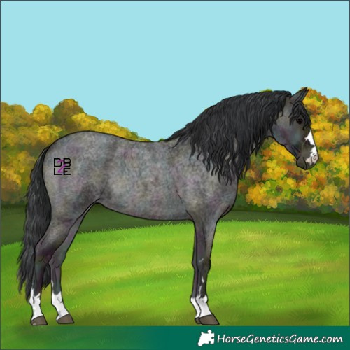 Horse Color:Midnight Blue Onyx Ice Roan