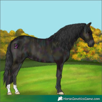 Horse Color:Midnight Blue Onyx Ice 