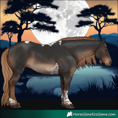 Horse Color:Liver Chestnut Tobiano 