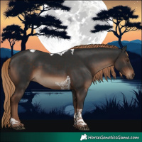 Horse Color:Liver Chestnut Tobiano 