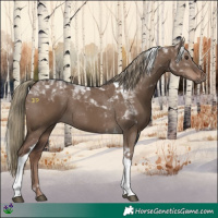 Horse Color:Liver Red Dun Tobiano Rabicano 