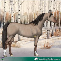 Horse Color:Liver Red Dun Rabicano 