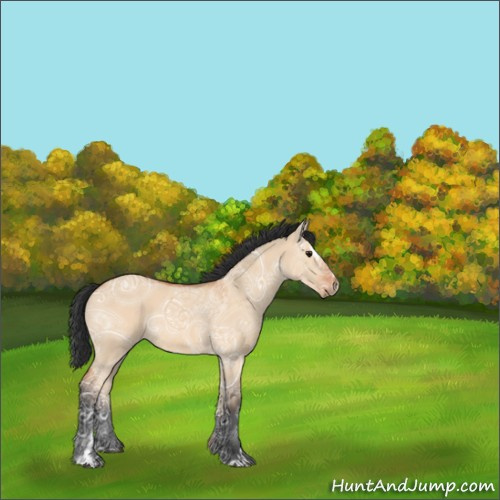 Horse Color:Bay Ice Dun Sabino Rabicano 