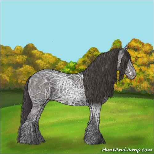 Horse Color:Grullo Ice Appaloosa 