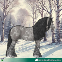 Horse Color:Grullo Ice 