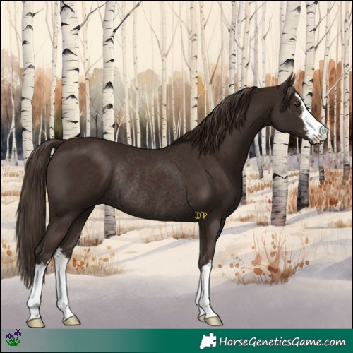 Horse Color:White Spotted Liver Chestnut Rabicano 
