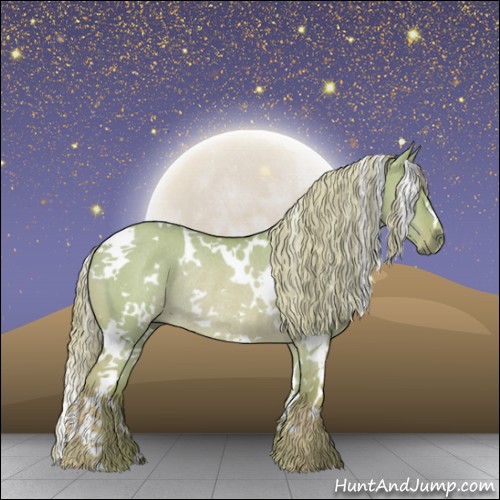 Horse Color:Watercolor White Spotted Palomino Dun Rabicano 