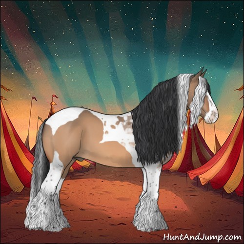 Horse Color:Bay Dun Splash Tobiano 