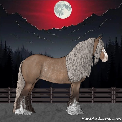 Horse Color:Silver Brown Dun Sabino Rabicano 
