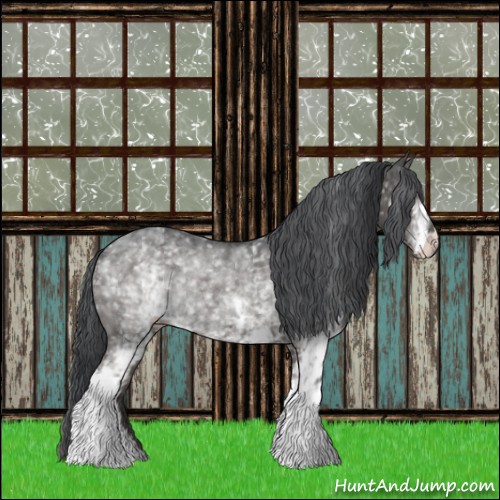 Horse Color:White Spotted Grullo Rabicano 