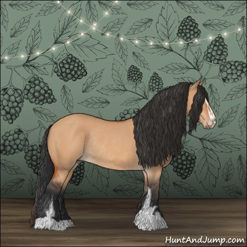 Horse Color:Bay Dun Sabino Rabicano 