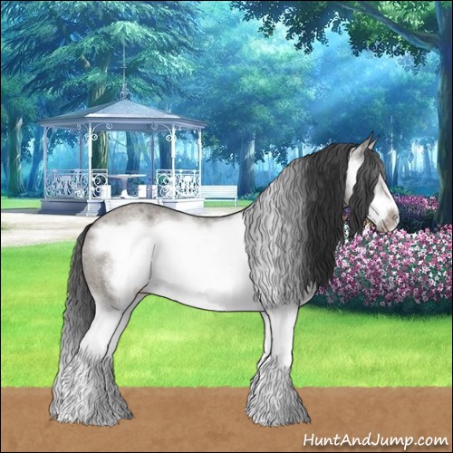 Horse Color:Grullo Roan Sabino Splash Frame Rabicano 