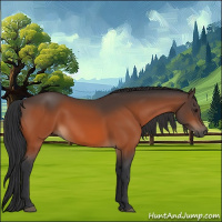 Horse Color:Brown 