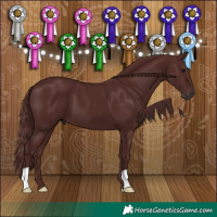 Horse Color:Gray Chocolate Black 