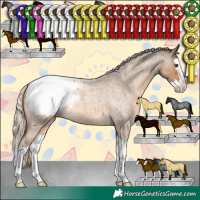 Horse Color:Chocolate Palomino Roan Splash Snowcap 