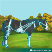 Horse Color:Thunderstruck Smoky Black Splash Frame 