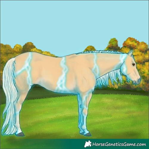 Horse Color:Thunderstruck Palomino 