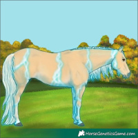 Horse Color:Thunderstruck Palomino 
