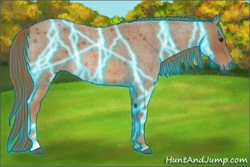 Horse Color:Thunderstruck Red Roan 