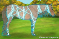 Horse Color:Thunderstruck Red Roan 