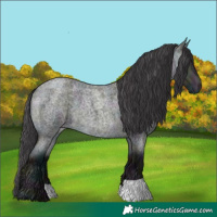 Horse Color:Platinum Midnight Buckskin Chinchilla Ice Roan 
