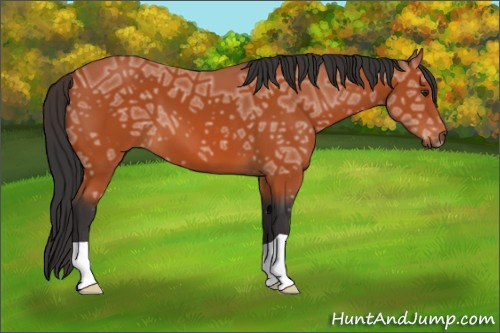 Horse Color:Brown Ice 