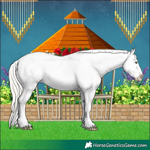 Horse Color:White Spotted Silver Grullo Roan Snowflake Varnish Rabicano 