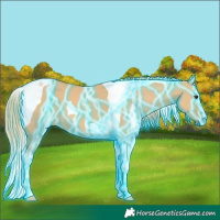 Horse Color:Thunderstruck Red Dun Tobiano 