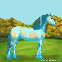 Horse Color:Thunderstruck Buckskin Tobiano