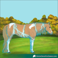 Horse Color:Thunderstruck Chestnut Tobiano