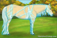 Horse Color:Thunderstruck Palomino 