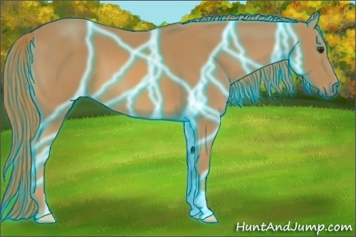 Horse Color:Thunderstruck Chestnut 