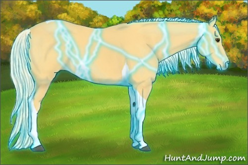 Horse Color:Thunderstruck Palomino Tobiano 