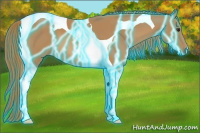 Horse Color:Thunderstruck Chestnut Tobiano