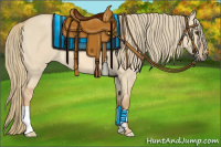 Horse Color:Red Dun Mushroom 