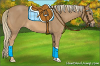 Horse Color:Chestnut Mushroom 