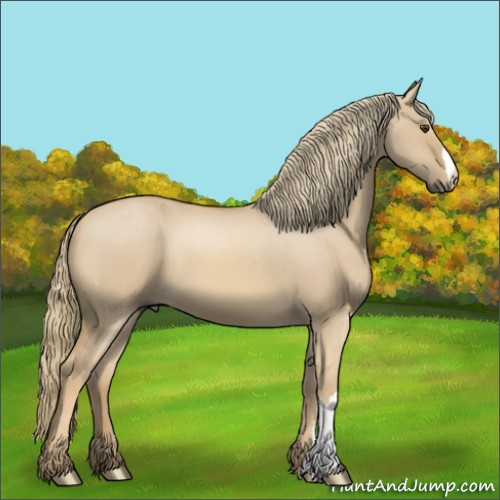 Horse Color:Red Dun Mushroom 