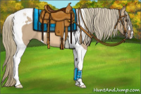 Horse Color:Red Dun Mushroom Tobiano