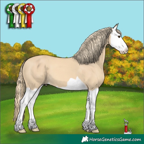 Horse Color:Red Dun Mushroom Splash 