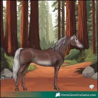 Horse Color:Gray Platinum Chocolate Silver Black 