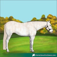 Horse Color:Perlino Sabino  and Perlino Sabino 