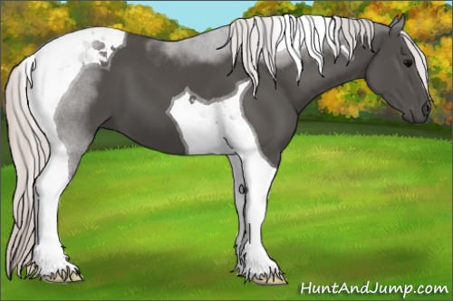 Horse Color:Silver Black Tobiano 