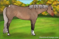 Horse Color:Silver Brown Dun Tobiano 