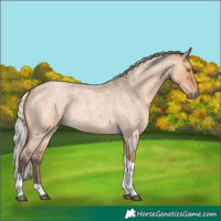 Horse Color:Silver Bay Roan Dun Tobiano Rabicano