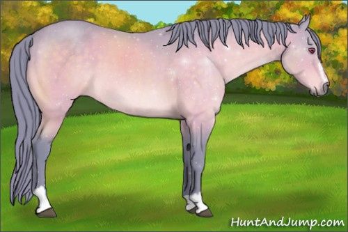 Horse Color:Watercolor Chocolate Brown Chinchilla Sabino