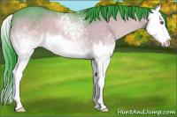 Horse Color:Watercolor White Spotted Brown Chinchilla Splash 