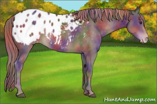 Horse Color:Nacre Liver Chestnut Blanket Rabicano 