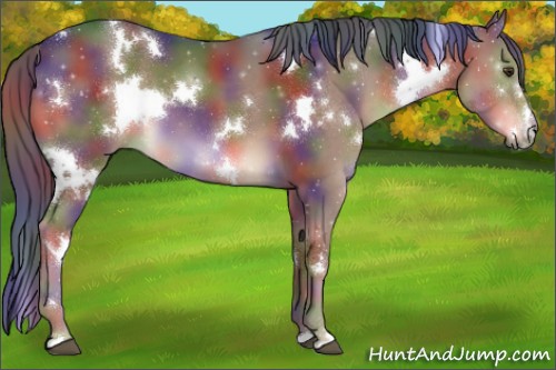 Horse Color:Nacre White Spotted Liver Chestnut 